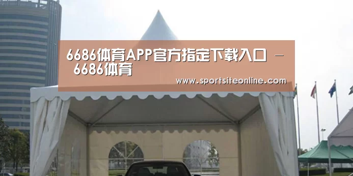 案例标题八