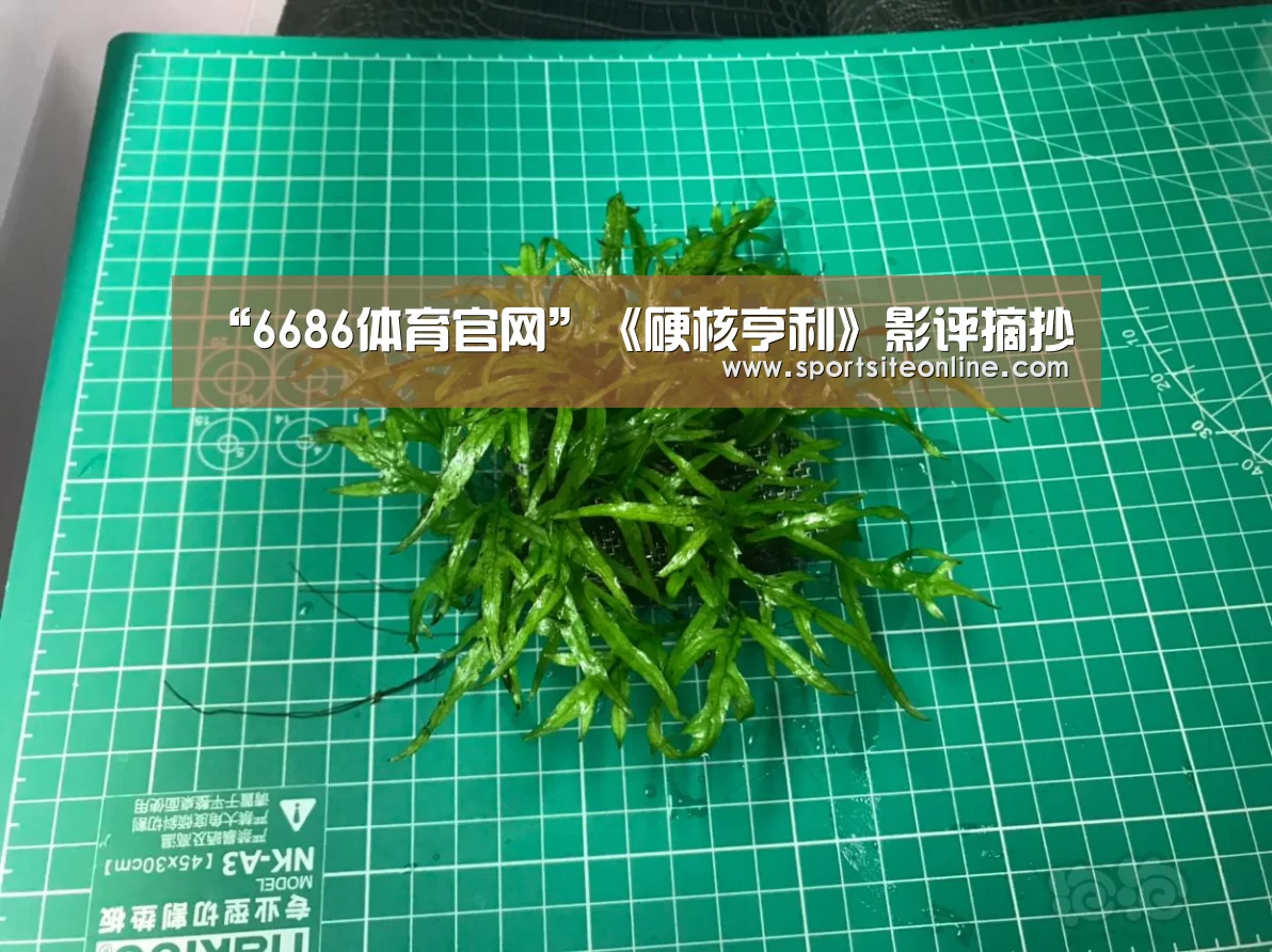 “6686体育官网”《硬核亨利》影评摘抄