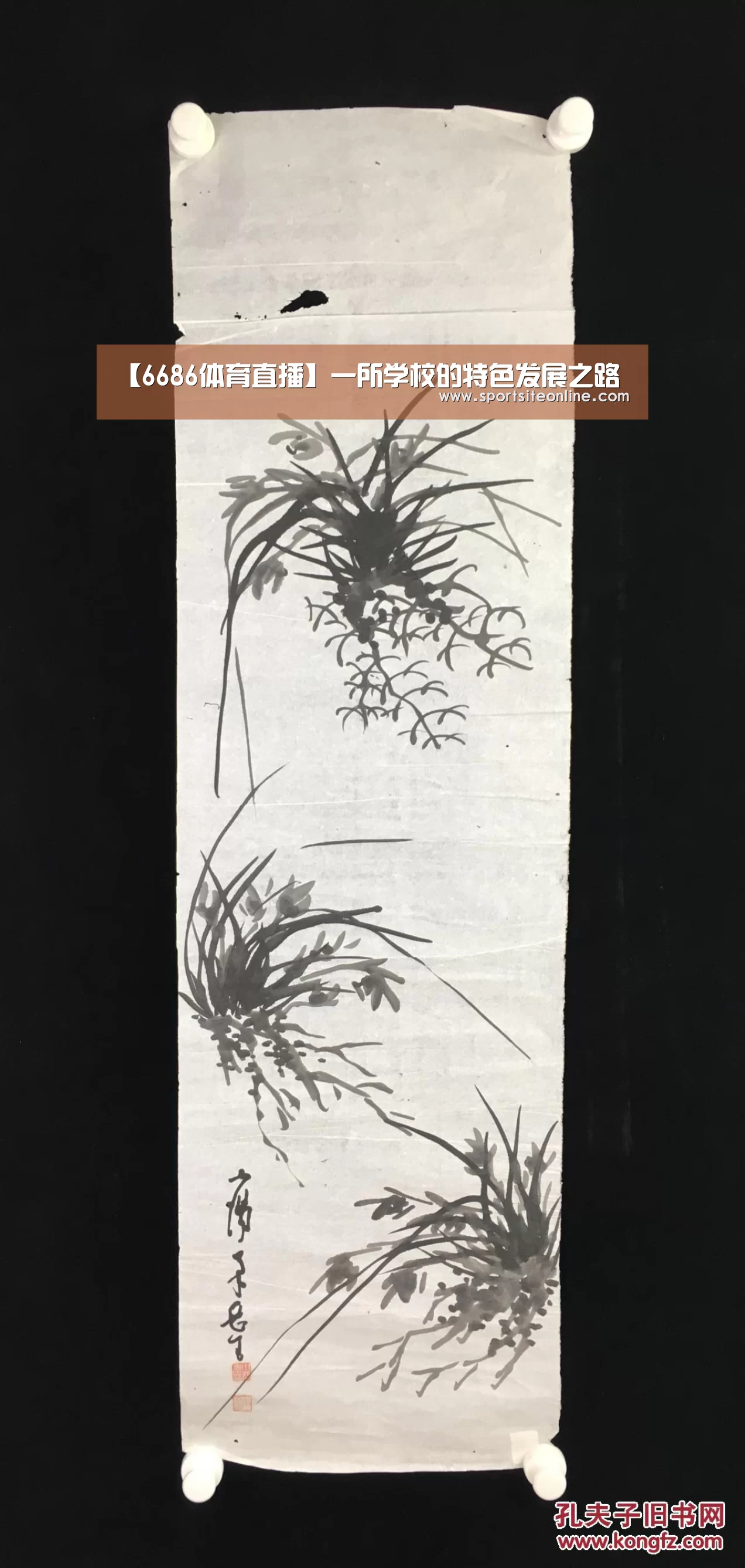 【6686体育直播】一所学校的特色发展之路