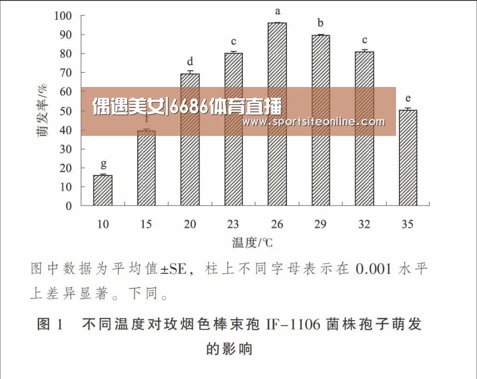 偶遇美女|6686体育直播(图1) 6686体育app