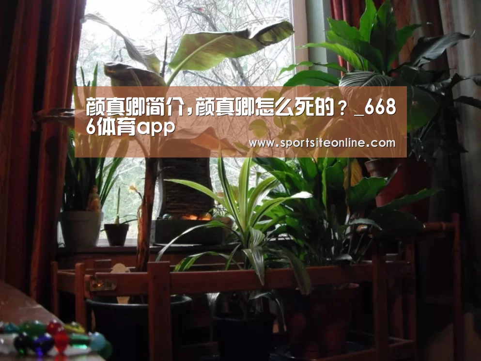 6686体育