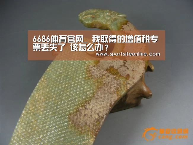 6686体育官网_
我取得的增值税专票丢失了 该怎么办?(图1) 6686体育app
